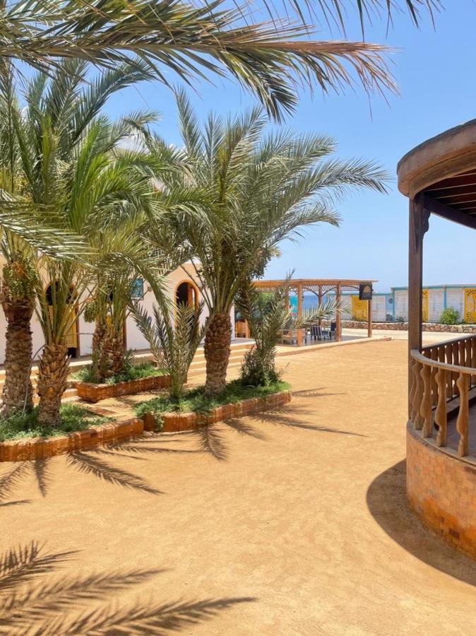 Shams Hotel & Dive Centre Dahab Exterior foto